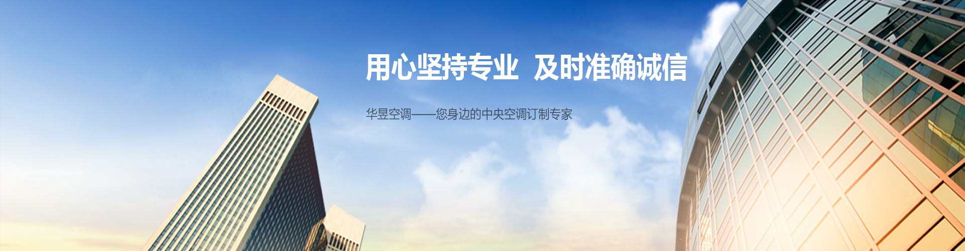 虎掷龙拿网